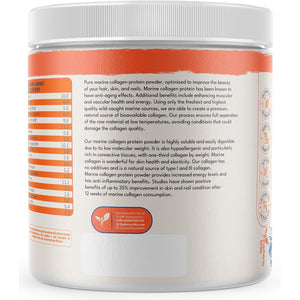 Marine Collagen Powder Type 1 & 3 | Wild Caught Fish | Non-Gmo | Unflavoured for Women & Men | Healthy Skin, Hair, Joints & Bones | 400G