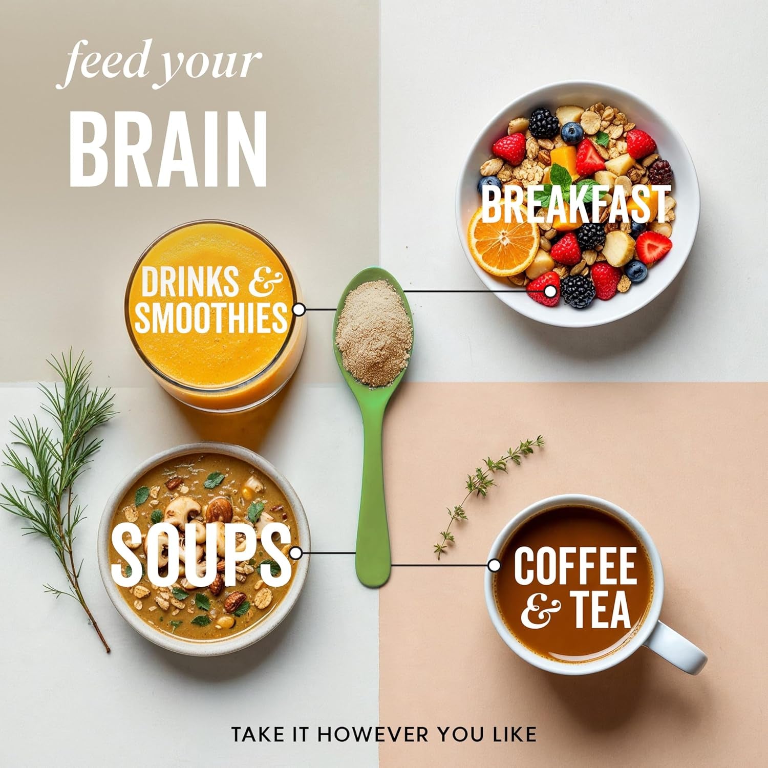 Grass & Co. | Focus Lion’S Mane Nootropic Powder | 2000Mg Lion’S Mane, 1000Mg Ginseng & Vegan Omega-3 | Brain Boost, Memory & Caffeine-Free Alertness | 46 Servings