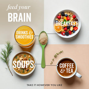 Grass & Co. | Focus Lion’S Mane Nootropic Powder | 2000Mg Lion’S Mane, 1000Mg Ginseng & Vegan Omega-3 | Brain Boost, Memory & Caffeine-Free Alertness | 46 Servings