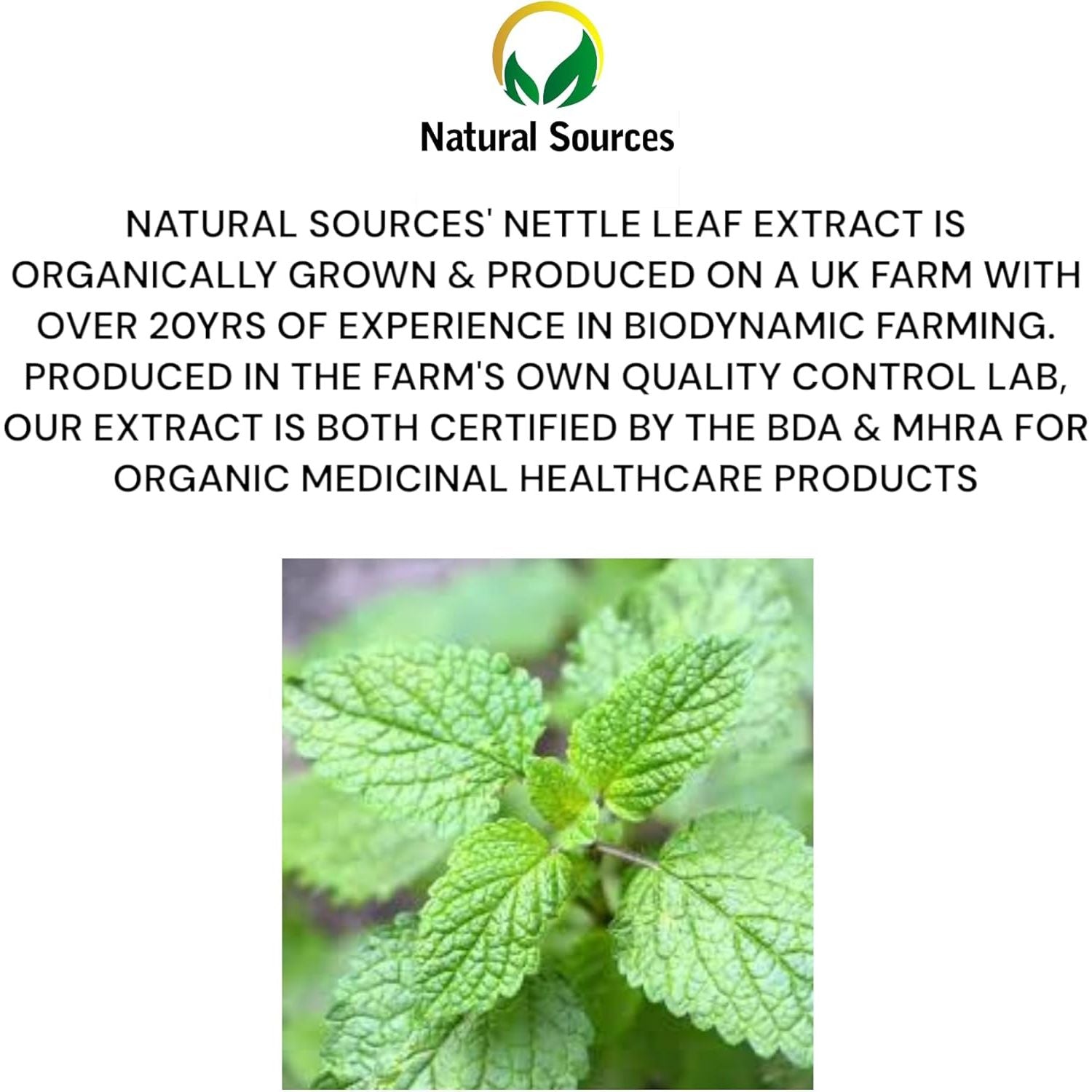 Stinging Nettle Leaf Tincture Drops - Fresh Plant Extract Organically Harvested 100 Servings - Nettle Supplement 100% Nettle Extract - Highest Concentrate - UK Produced - GMDP Certified/Vegan/Non GMO