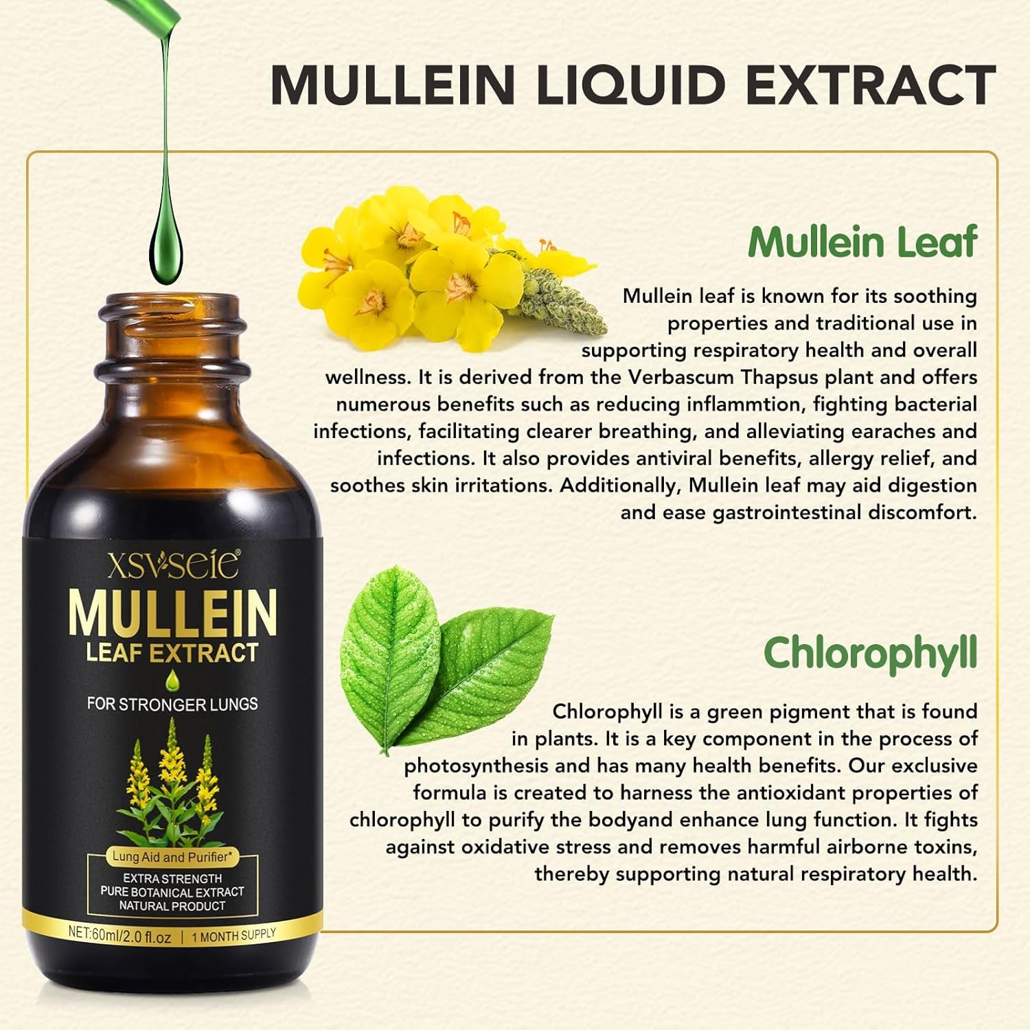 Mullein Leaf Extract for Lungs, Natural Mullein Drops for Lung Cleanse and Healthy Breathing, 1 Month Supply 60ML, Vegetarian, High Fast Absorption, Health Supplements, Cleanse and Respiratory Support