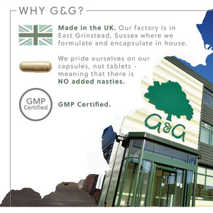 Organic Kelp Supplement 500Mg - Natural Source of Iodine - 120 Vegan Capsules - Non GMO, Made in the UK by G&G Vitamins