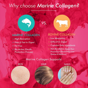 Bioglan Collagen Gummies | 1000Mg | Hydrolysed Marine Collagen | Biotin | Selenium & Vitamin C | Strawberry Flavoured | 60 Gummies