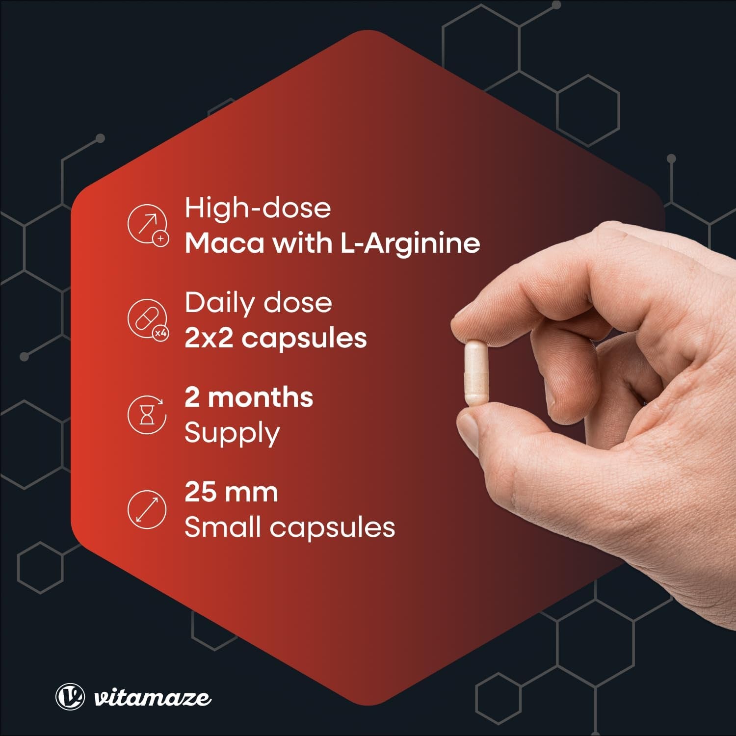 Maca Root Capsules for Women and Men with L-Arginine, B6, B12 and Zinc - Hormonal Balance, Anti-Stress, Energy Booster - 240 Capsules for 2 Months - Organic Supplement, German Quality- Vitamaze