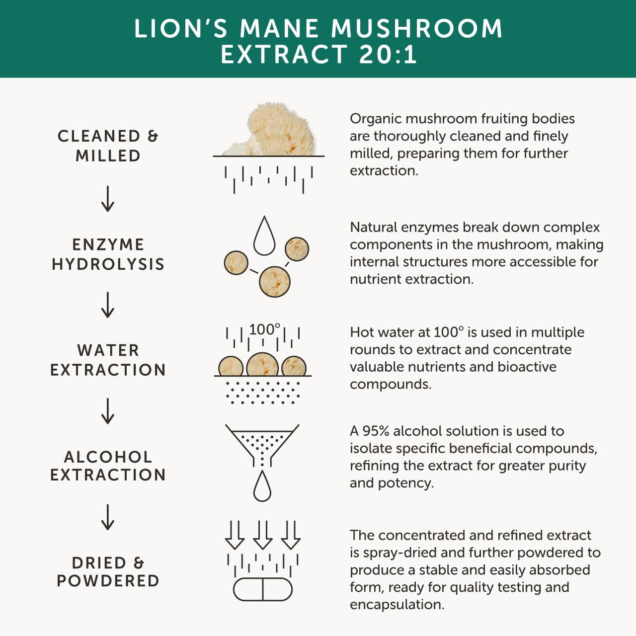 Organic Lions Mane | High Strength 9200 Mg | 20:1 Dual Extract | Full Spectrum | 100% Fruiting Bodies | Guaranteed 40% Polysaccharides & 30% Beta-Glucans | Guaranteed Hericenones | Additive Free
