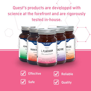 Quest L Plantarum Probiotic Capsules 2 Billion CFU for Immune & Digestive Support. Helps Restore Gut Friendly Bacteria & Regulate Immune Responses. Vegan & Gluten Free (90 Capsules)