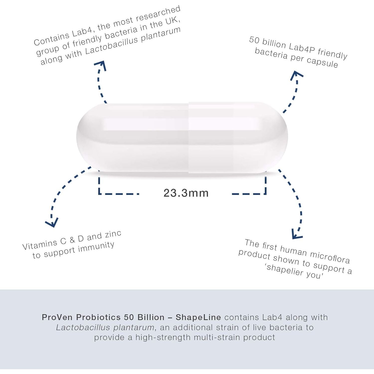 Pro-Ven Probiotics Shapeline | Supports a 'Shapelier You' | as Seen in Daily Mail | 50 Billion CFU | Gut Health Supplement | 30 Capsules