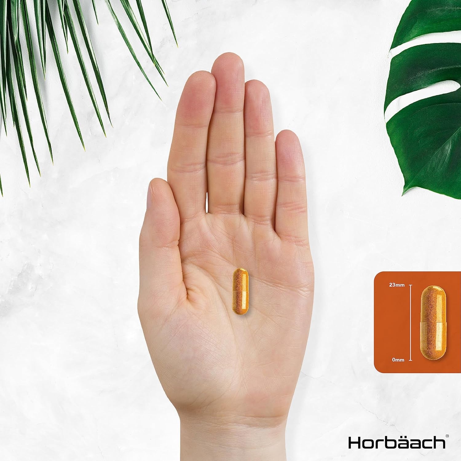 Organic Turmeric and Black Pepper Capsules | 2160Mg | High Strength Curcumin with Ginger | 120 Vegan Capsules | by Horbaach