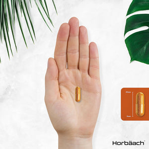 Organic Turmeric and Black Pepper Capsules | 2160Mg | High Strength Curcumin with Ginger | 120 Vegan Capsules | by Horbaach