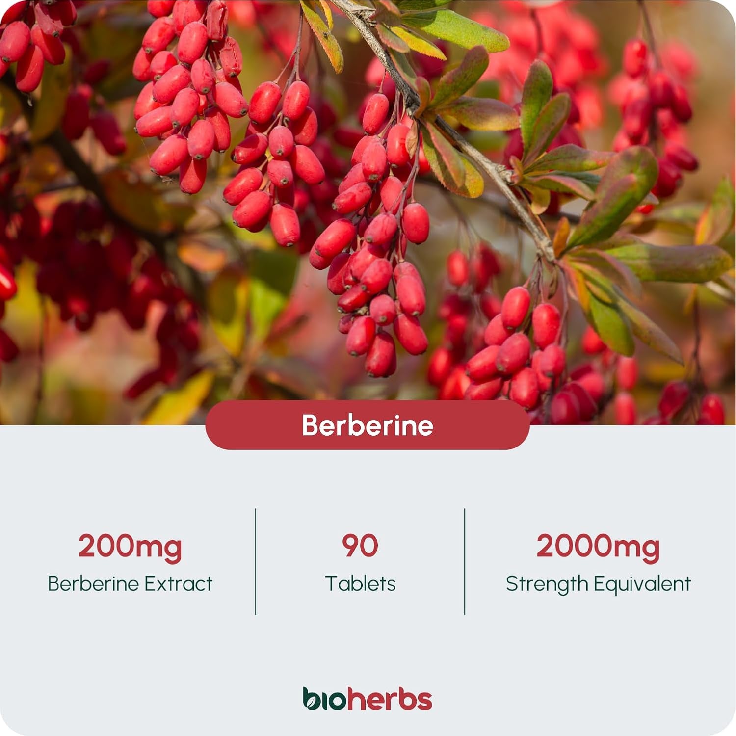 Berberine HCL Supplement High Strength - 2000Mg 99% HCL by Bioherbs | 90 One-Per-Day Capsules (3-Month Supply)