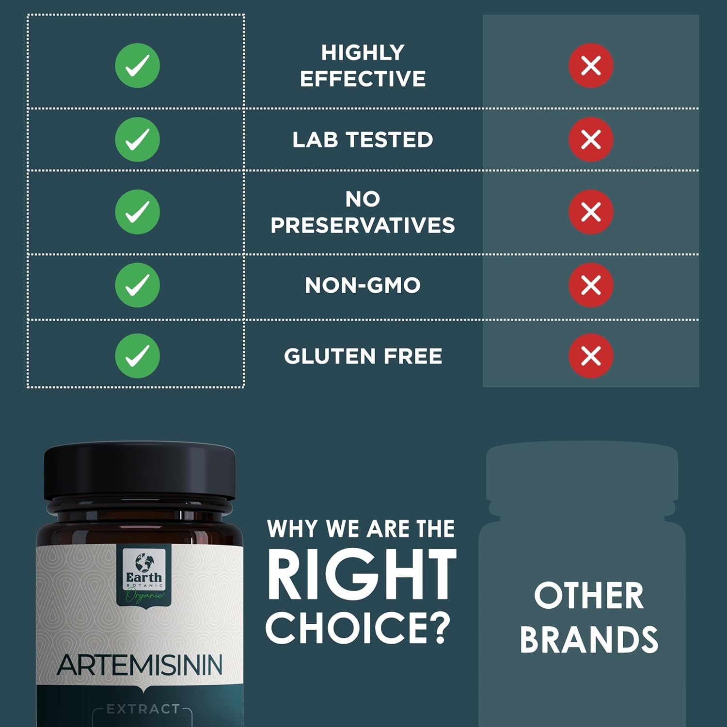 Earth Botanic Organic Artemisinin (Artemisia Absinthium) with Piperine - 120 Vegan Capsules Supports Immunity -60 Days Supply - Non-Gmo, Gluten Free, No Additives