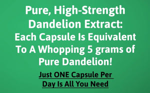 High-Strength Dandelion Extract Capsules (10:1) 5,000Mg per Capsule - 90 per Bottle, Vegan Safe, UK Manufactured