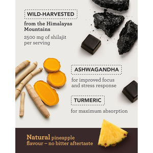 Himalayan Shilajit Gummies – Grade Gold Gummies for Men & Women with Ashwagandha & Turmeric - 2500Mg High Strength Supplement for Energy & Focus - Pure Authentic Shilajit with Fulvic Acid - Pineapple