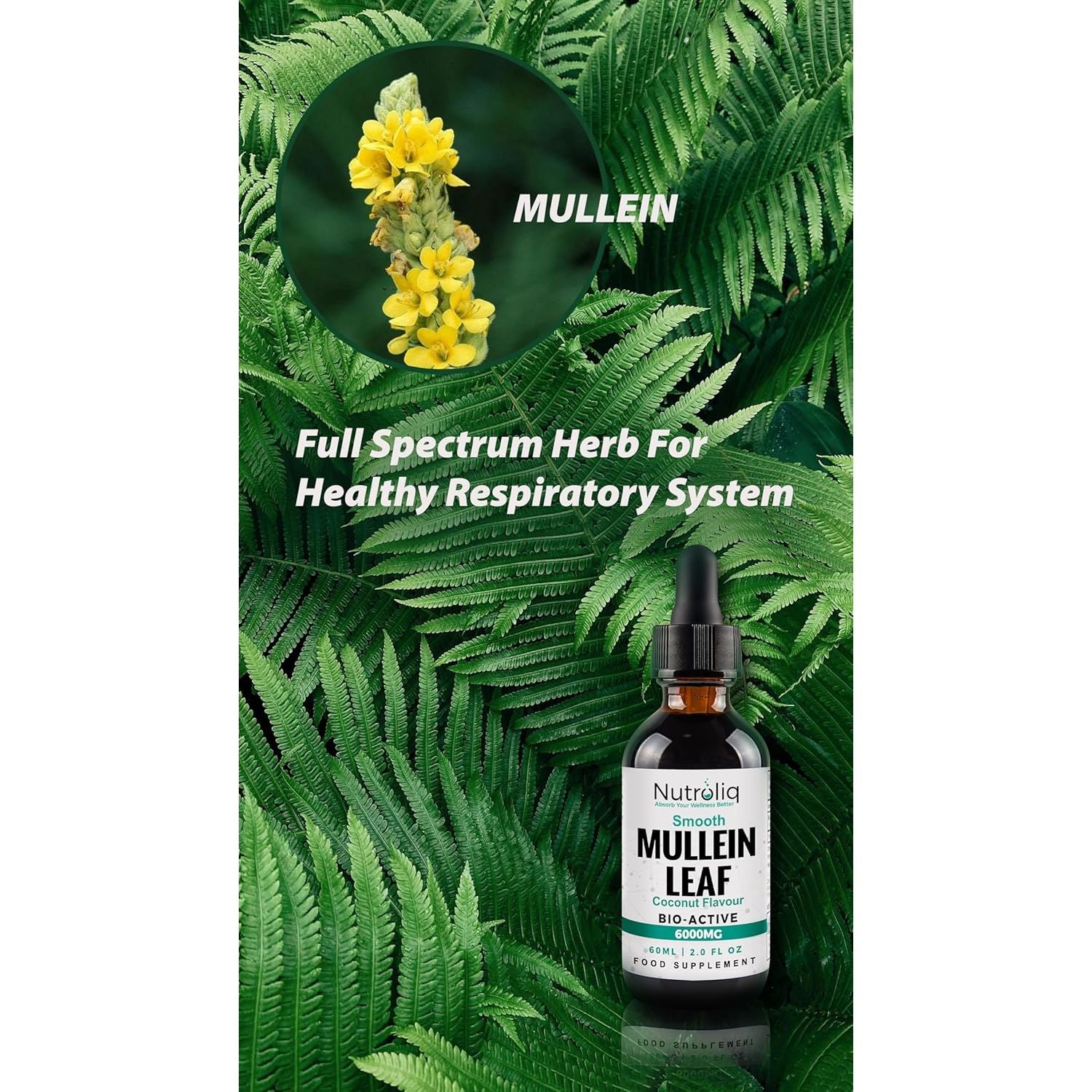Nutroliq Mullein Leaf 50:1 Extract Drops - Vegan, Non-Gmo Supplements for Lung Cleanse and Respiratory Health, Digestive Wellness, Sound Sleep Support - Fast Absorption Tincture - 60Ml, 2 Month Supply