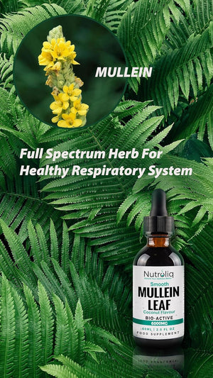 Nutroliq Mullein Leaf 50:1 Extract Drops - Vegan, Non-Gmo Supplements for Lung Cleanse and Respiratory Health, Digestive Wellness, Sound Sleep Support - Fast Absorption Tincture - 60Ml, 2 Month Supply