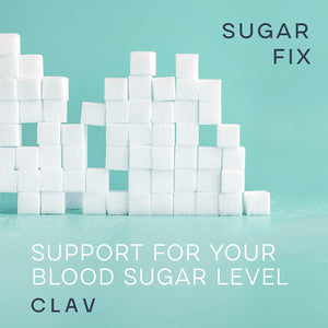 N°9 Sugar FIX - Blood Sugar Control Supplement - Cinnamon Capsules with Bitter Melon, Beta Glucan & Chromium - 60 Capsules - Vegan Glucose Support Supplement - Blood Sugar Diet - Made in Germany