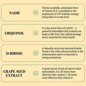 NADH 50 Mg plus Coq10 200 Mg, NADH Capsules - Energy and Fatigue Support, ATP Production - 60 Counts for 60-Day Supply