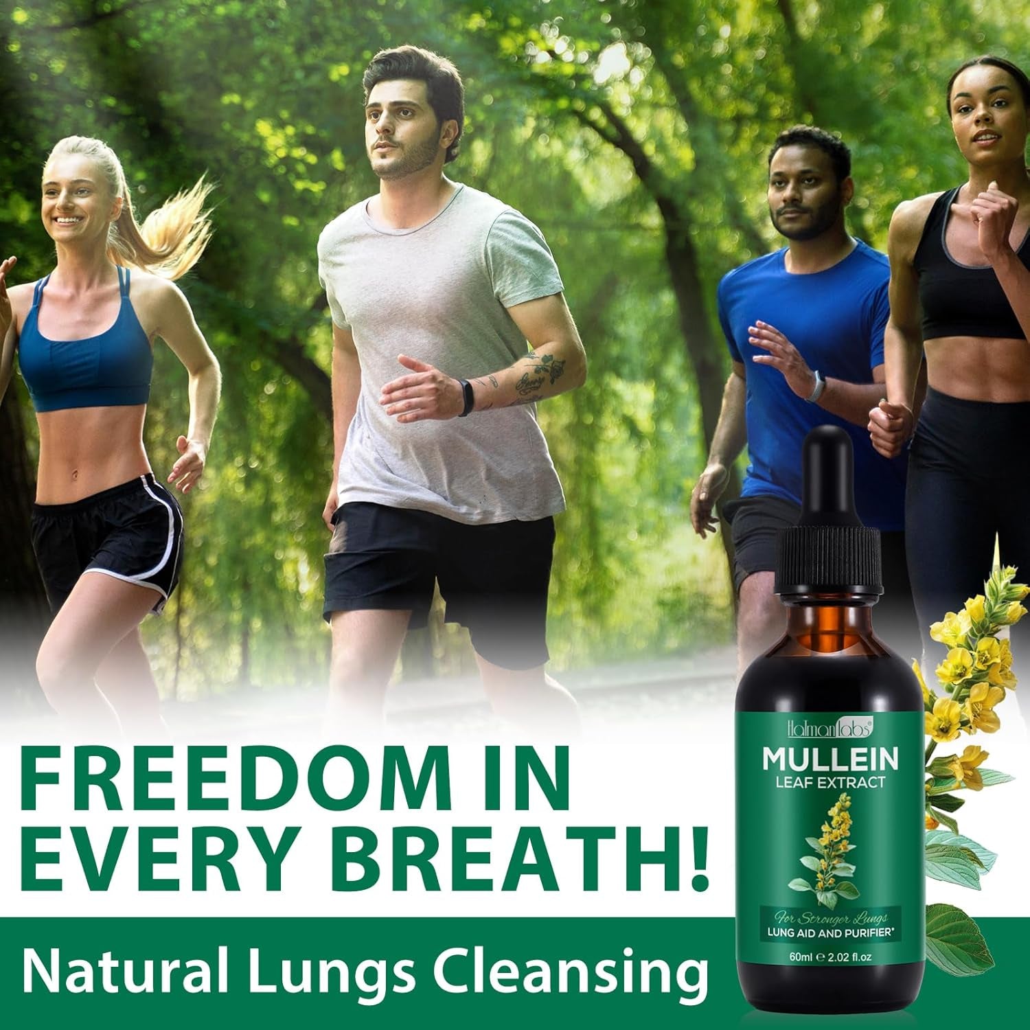 Mullein Drops for Lungs, 2 Pack Powerful Mullein Leaf Extract for Lungs Cleanse and Healthy Breathing, 2 Month Supply, 60Ml