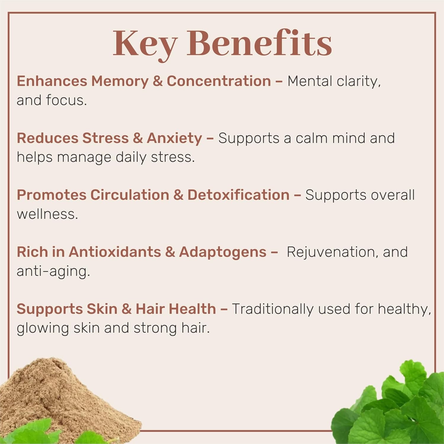 SAMYAM Gotu Kola Powder (Centella Asiatica) - 500G Pack | for Stress and Concentration