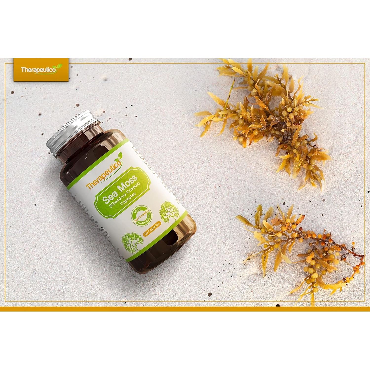 Sea Moss Capsules | Wild Harvested | 60 Veg Capsules | Full Spectrum | Chondrus Crispus | Premium Supplement | Vegan | No Binders, Fillers, Additives | UK Made