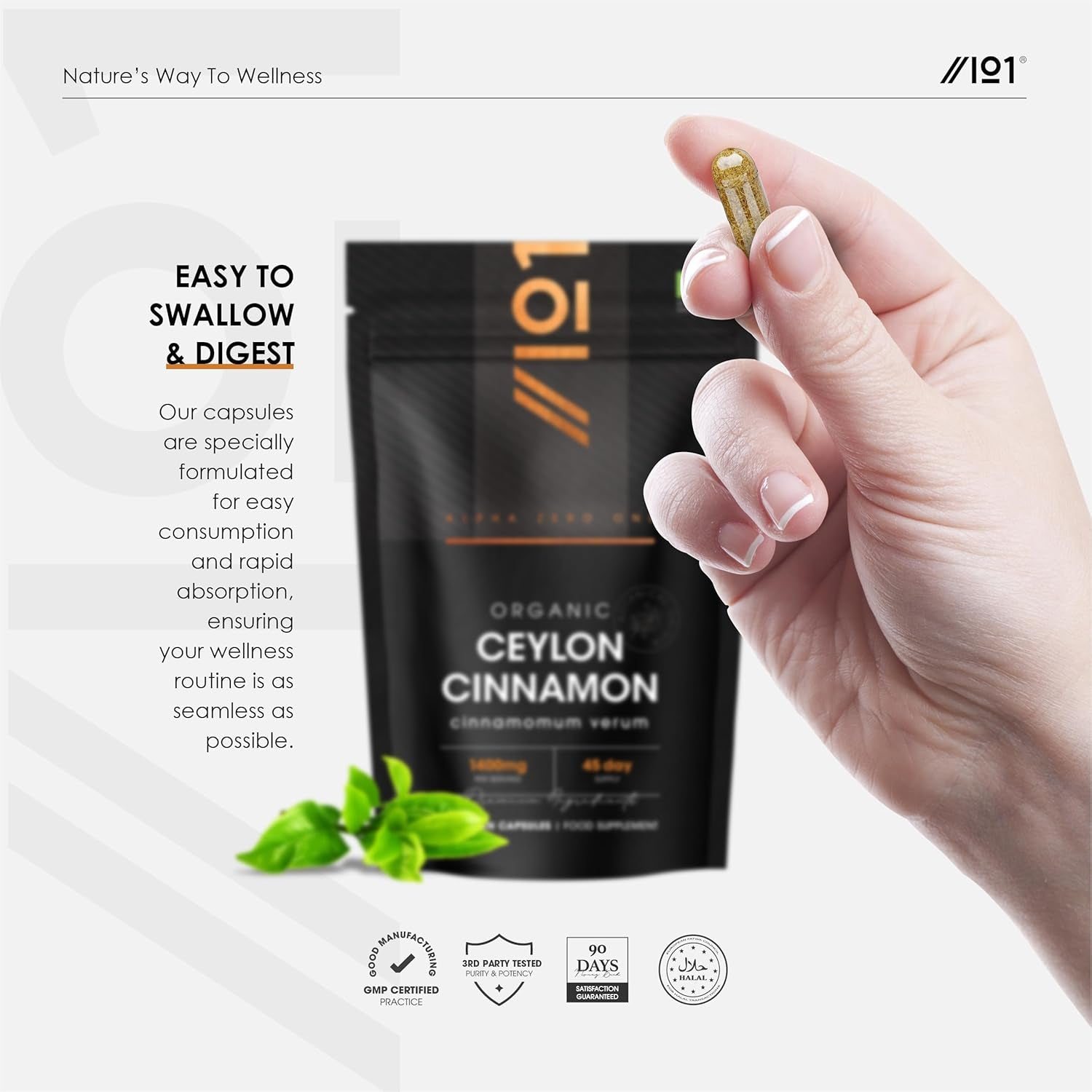 Organic Ceylon Cinnamon 1400Mg – Potent 100% Sri Lanka Cinnamon Verum – 90 Vegan Capsules – Resealable and Recyclable Pouch by Alpha01