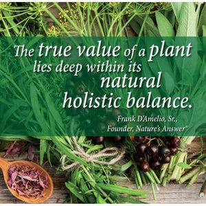 Schisandra Extract, 2,000 Mg per Serving, Gluten Free, 30 Ml