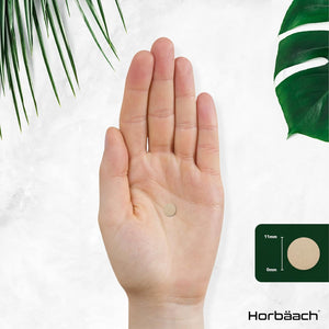 DGL Licorice Root Tablets 400Mg | Chewable Tablets | High Strength Liquorice Root Extract | 90 Count | Suitable for Vegetarians & Vegans | by Horbaach