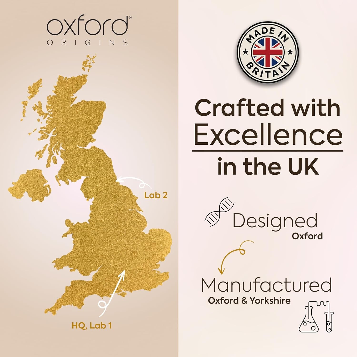 Advanced Turmeric and Black Pepper Capsules Made in the UK | ONE per Day Turmeric Supplement with Ginger & Black Pepper | High Absorption Tumeric Supplement Joints Care | 6 Month Supply - 180 Capsules