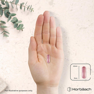 Cranberry Capsules 50,000 Mg | High Strength Cranberry Extract with Vitamin C | 180 Vegan Capsules | Supplement for Women & Men | by Horbaach