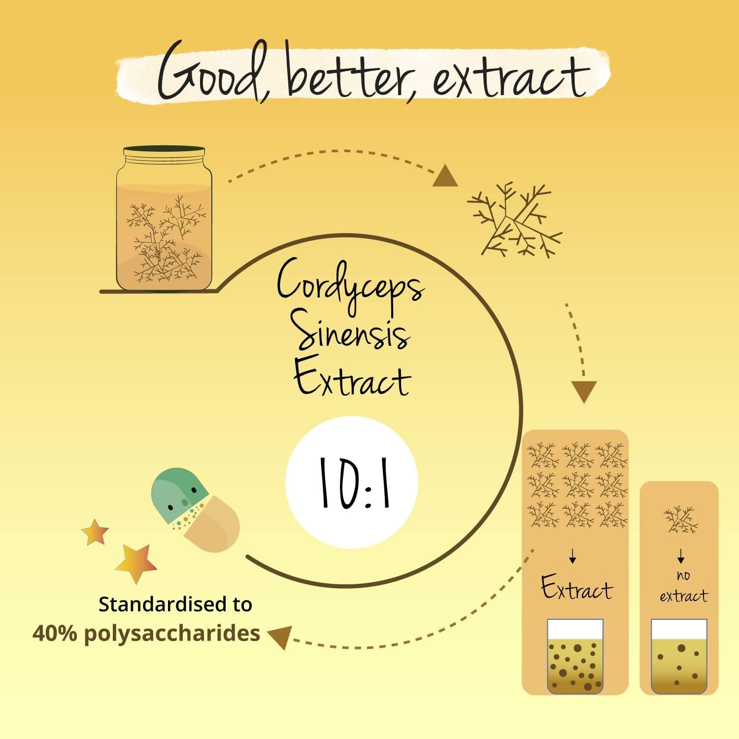 Vegavero Cordyceps Sinensis 6500 Mg | 10:1 Mushroom Extract | 4-Month Supply | 40% Polysaccharides | NO Additives | Lab-Tested | Vegan