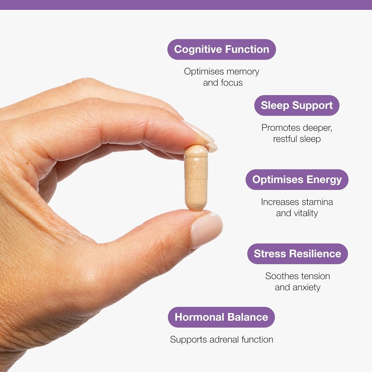 Metagenics Ashwagandha 500Mg - Supports Mental Clarity and Hormone Balance - High-Strength Supplement - 60 Capsules