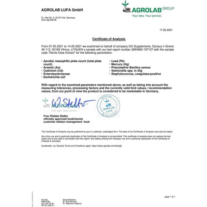 Hepatica Devil’S Claw 10:1 Extract – 5000Mg Equivalent | 120 Vegan Capsules | High-Strength Joint & Anti-Inflammatory Support | Natural Aches & Mobility Relief Supplement