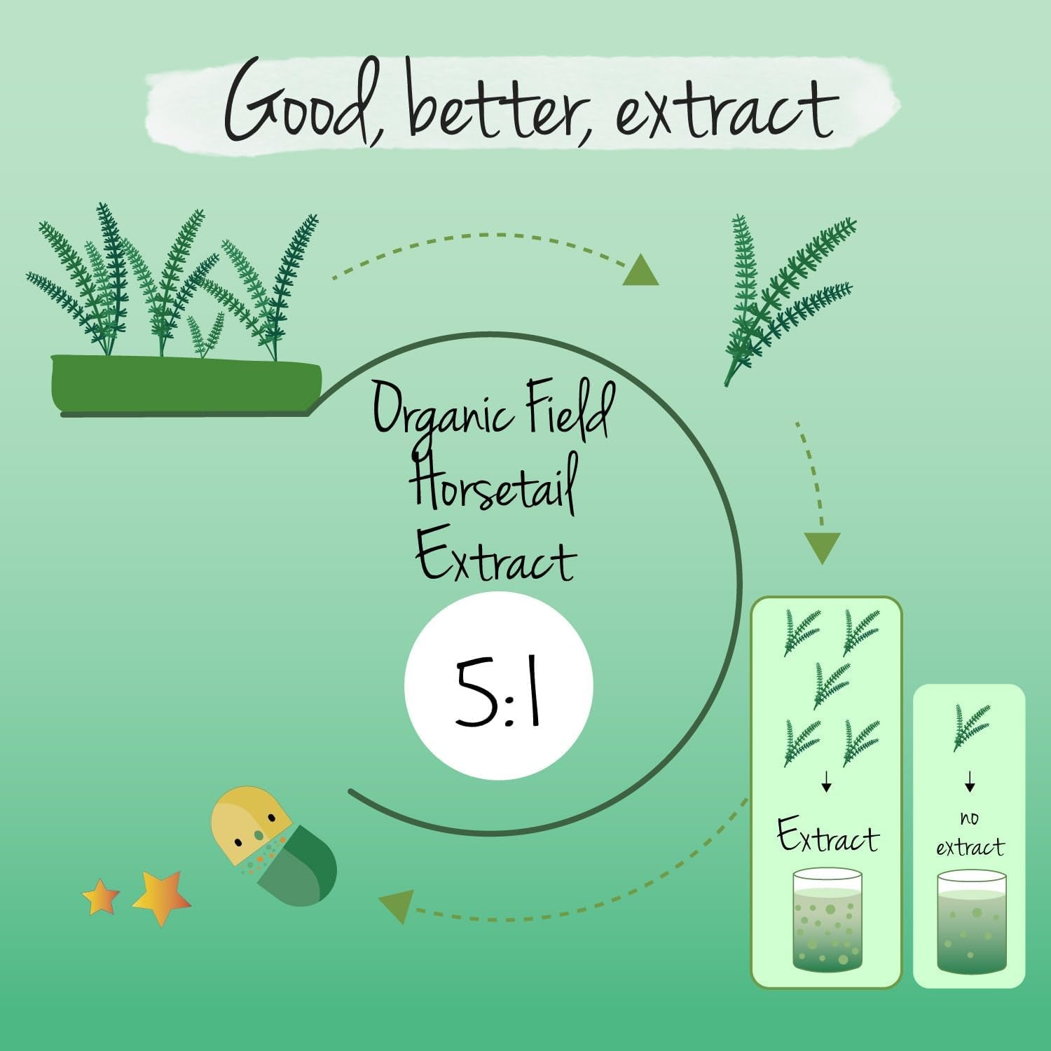 Vegavero Organic Horsetail Extract 1000 Mg | Natural Source of Silica | NO Additives | Hair, Skin & Nail Supplement | Equisetum Arvense Extract | 90 Capsules | Vegan