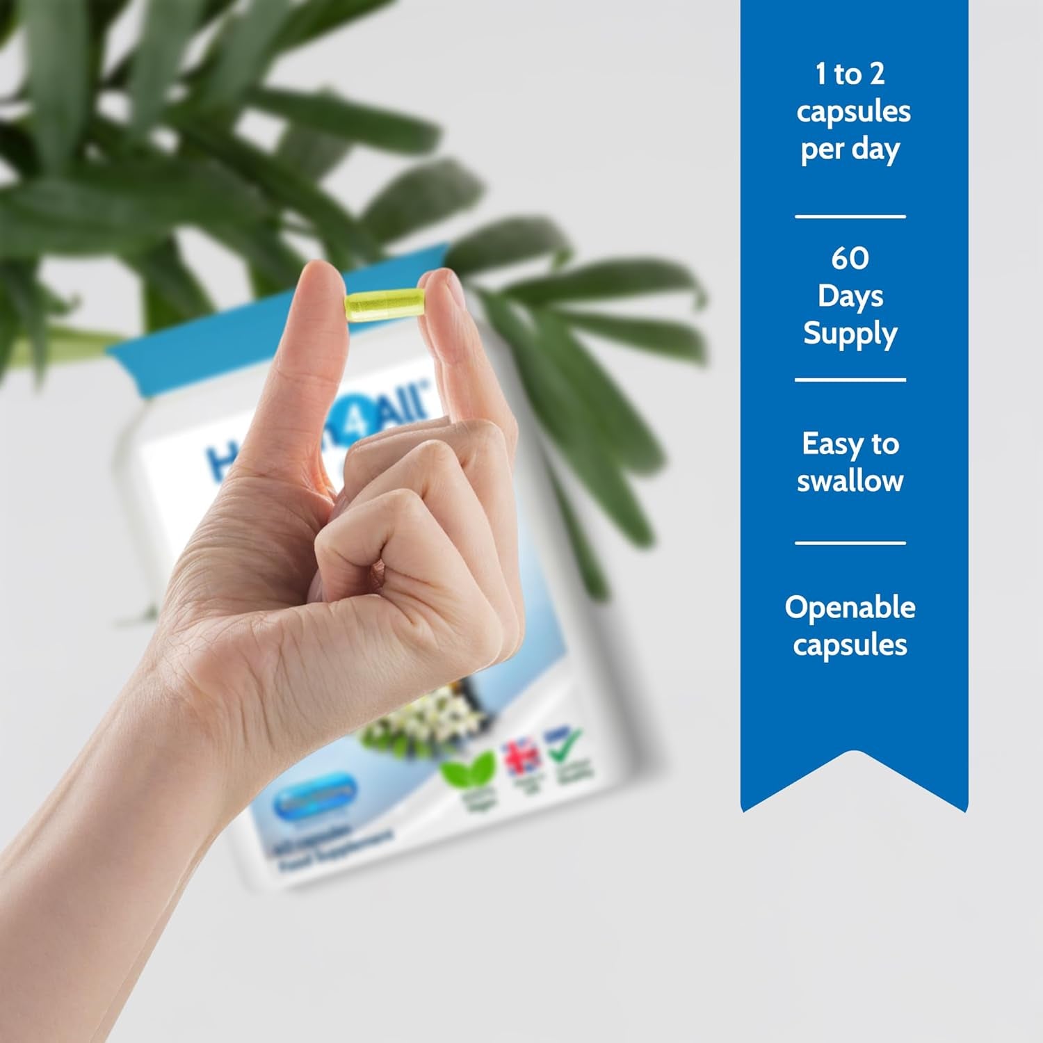 Health4All Quercetin 400Mg + Bromelain 100Mg per Capsule, Natural Antihistamine, Balances Immune Response, Pure Vegan 60 Capsules (Not Tablets) | Made in UK