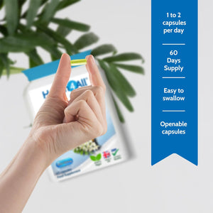 Health4All Quercetin 400Mg + Bromelain 100Mg per Capsule, Natural Antihistamine, Balances Immune Response, Pure Vegan 60 Capsules (Not Tablets) | Made in UK