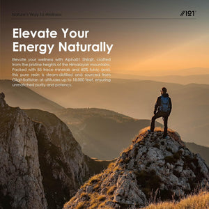 Himalayan Shilajit Resin 30G – Gold Grade 100% Pure Gilgit-Baltistan Source – Rich in 80% Fulvic & Humic Acid, Minerals – by Alpha01