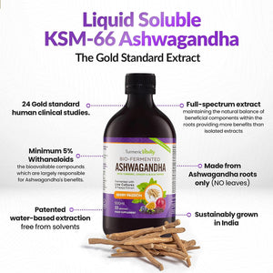 Ashwagandha KSM-66 Liquid Bio-Fermented with Turmeric, Probiotics & Digestive Enzymes for Stress, Mood & Gut Health - Natural Berry Passion Flavour