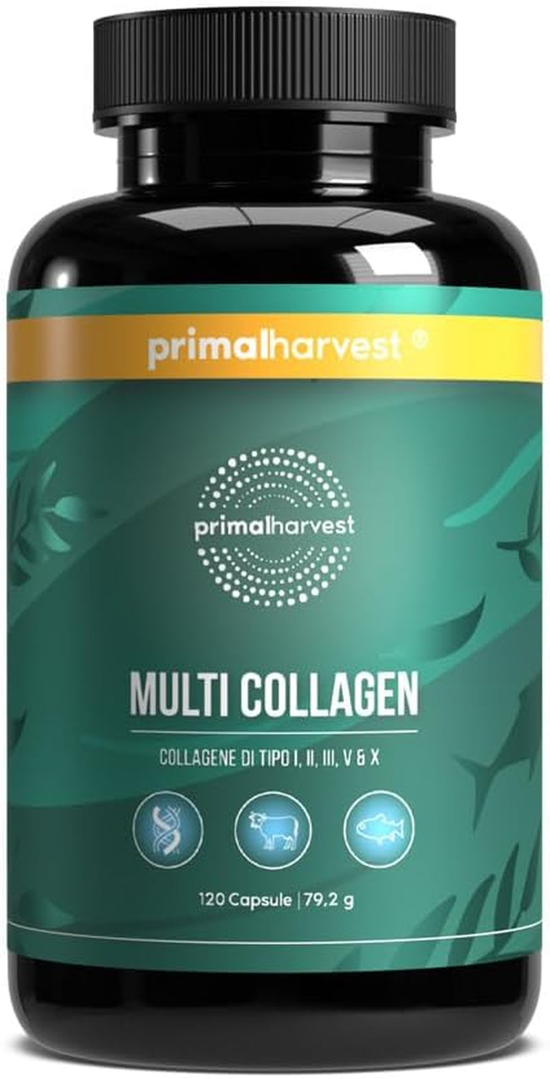 Primal Harvest Multi Collagen Supplement Types I, II, III, V & X Collagen Pills for Men & Women Dairy, Soy & Gluten Free 1 Pack 120 Capsules