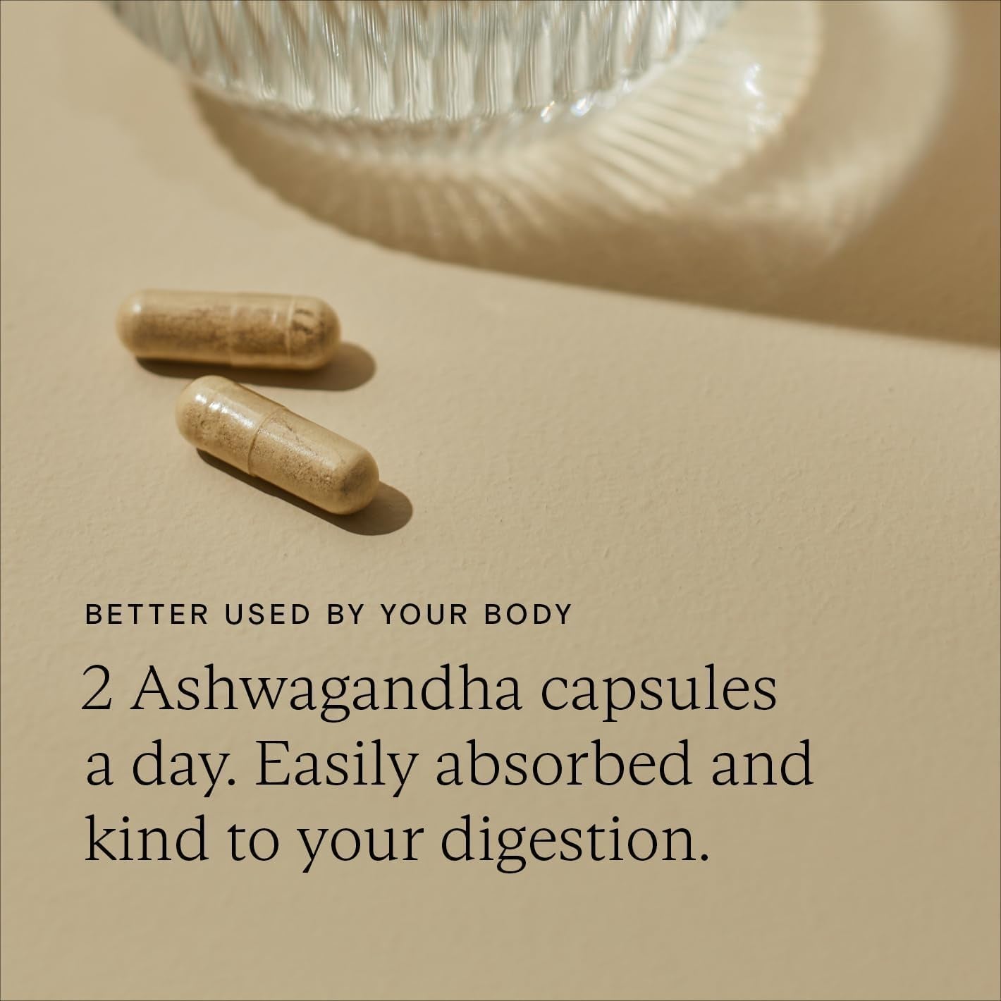 WILD NUTRITION Food-Grown® Ashwagandha KSM 66 plus | Ethically Sourced Ashwagandha Capsules to Support Mind and Body | Tablets to Support Stress and Anxiety | 60 Capsules