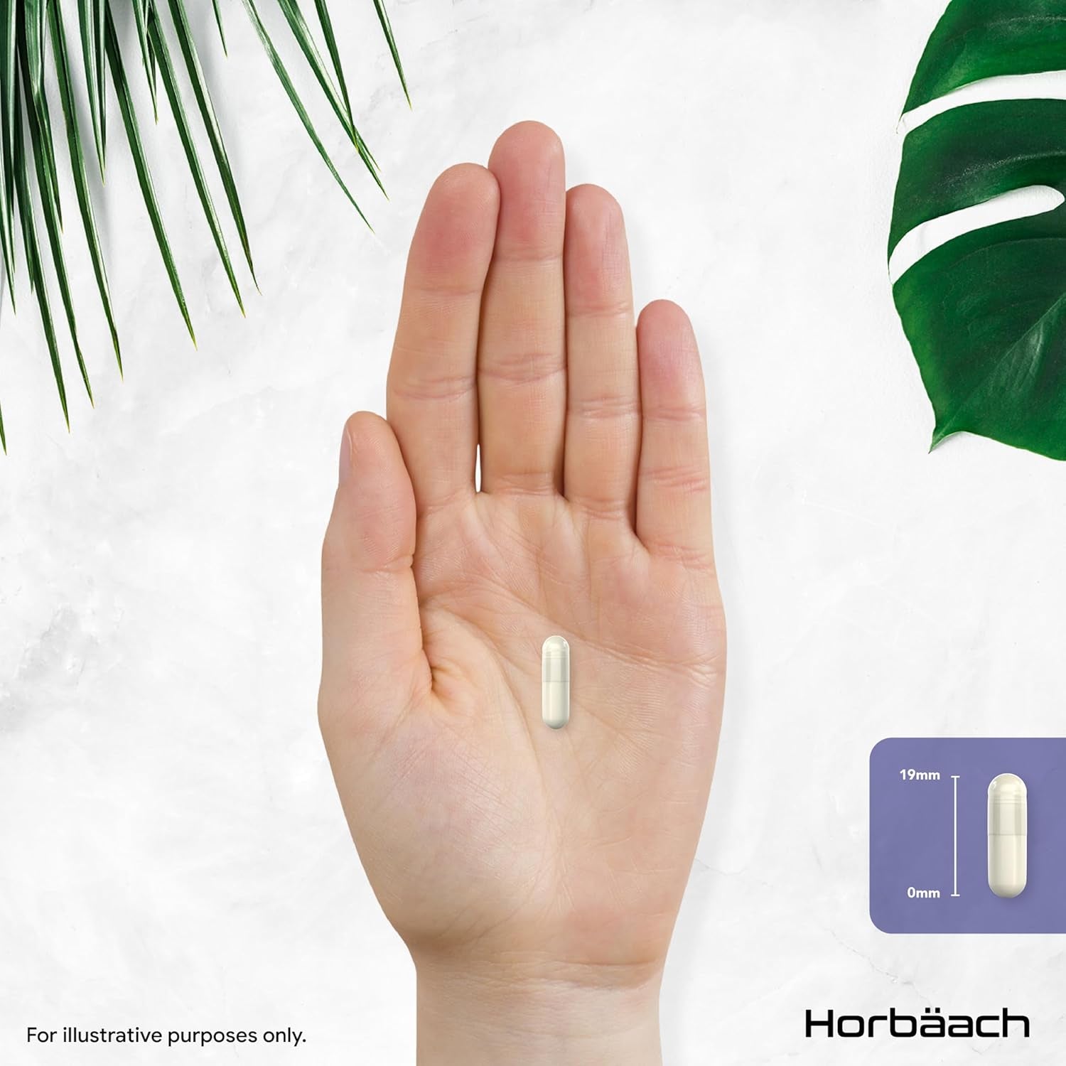 Hyaluronic Acid Supplement 900Mg | 90 Vegan Capsules | High Strength Bioavailable Formula with Vitamin C | by Horbaach