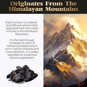 Shilajit Gummies 1500Mg, Pure Himalayan Shilajit with 85+ Trace Minerals & Fulvic Acid, for Energy, Metabolism & Focus