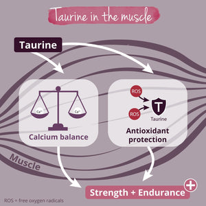 Vegavero L Taurine Powder 1Kg | 3000 Mg Daily Dose | 1 Year Supply | 100% Pure Taurine | NO Additives | Lab-Tested | Vegan