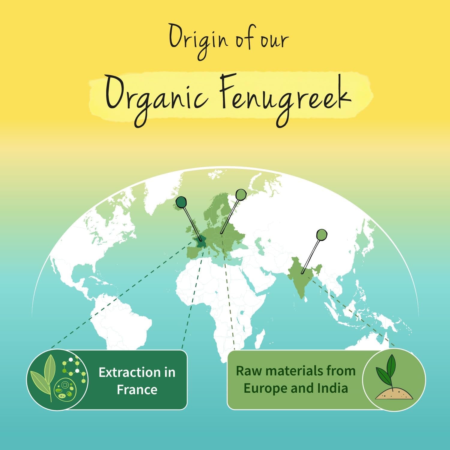 Vegavero Organic Fenugreek High Strength 2900 Mg | Lactation Supplement | 4:1 Extract and Powder | 120 Capsules | Vegan