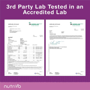 Evening Primrose Oil 1000Mg (2000Mg per 2 Capsule Serving) | 90 Capsules per Pouch - 45 Days Supply | High Strength & High GLA (Omega 6) Content | Cold Pressed