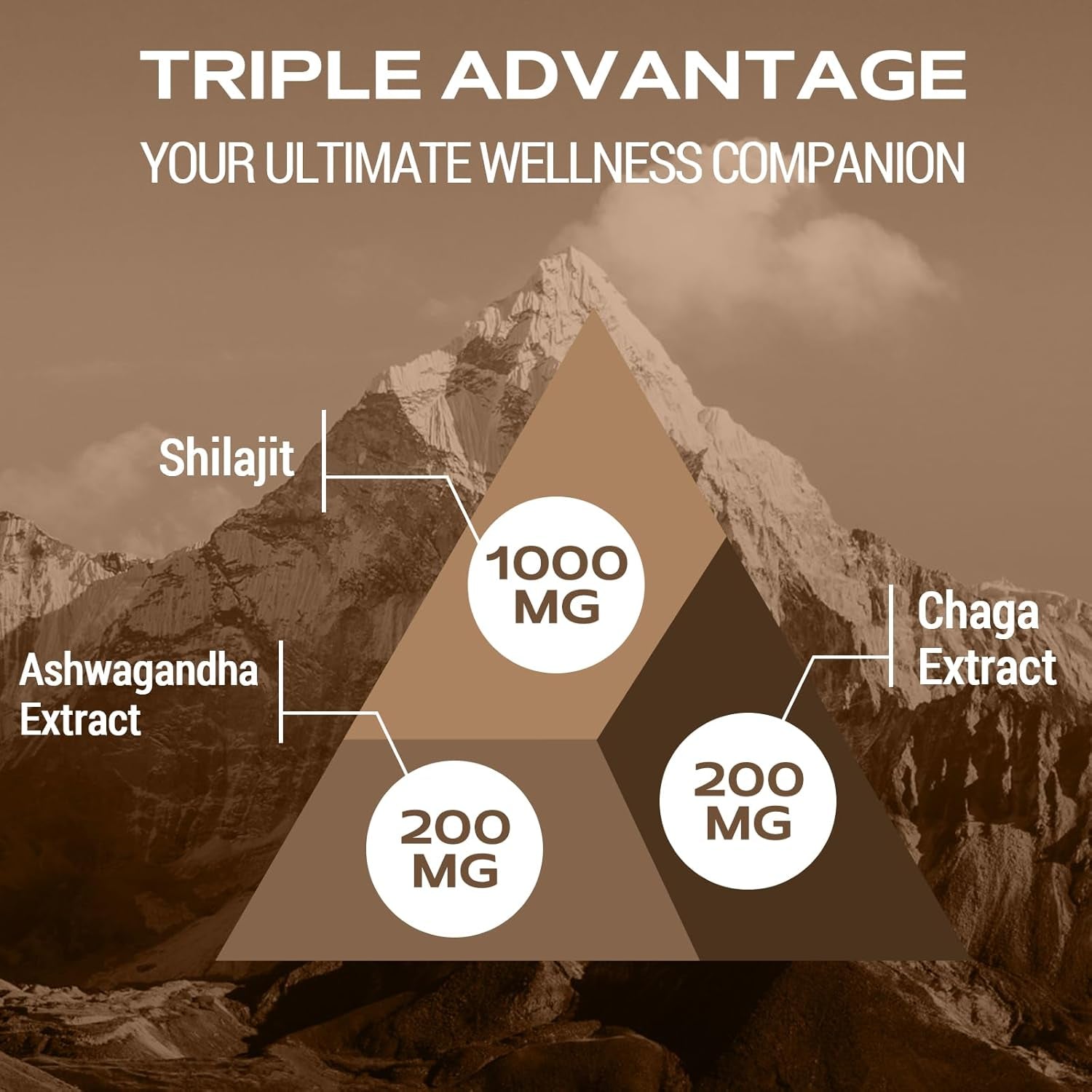 Shilajit Gummies 1400Mg, Shilajit Supplement with Chaga and Ashwagandha, Original from Himalayan with Fulvic & Humic Acid and 85+ Minerals, for Energy, Immunity & Focus, Sugar-Free, 60 Gummies