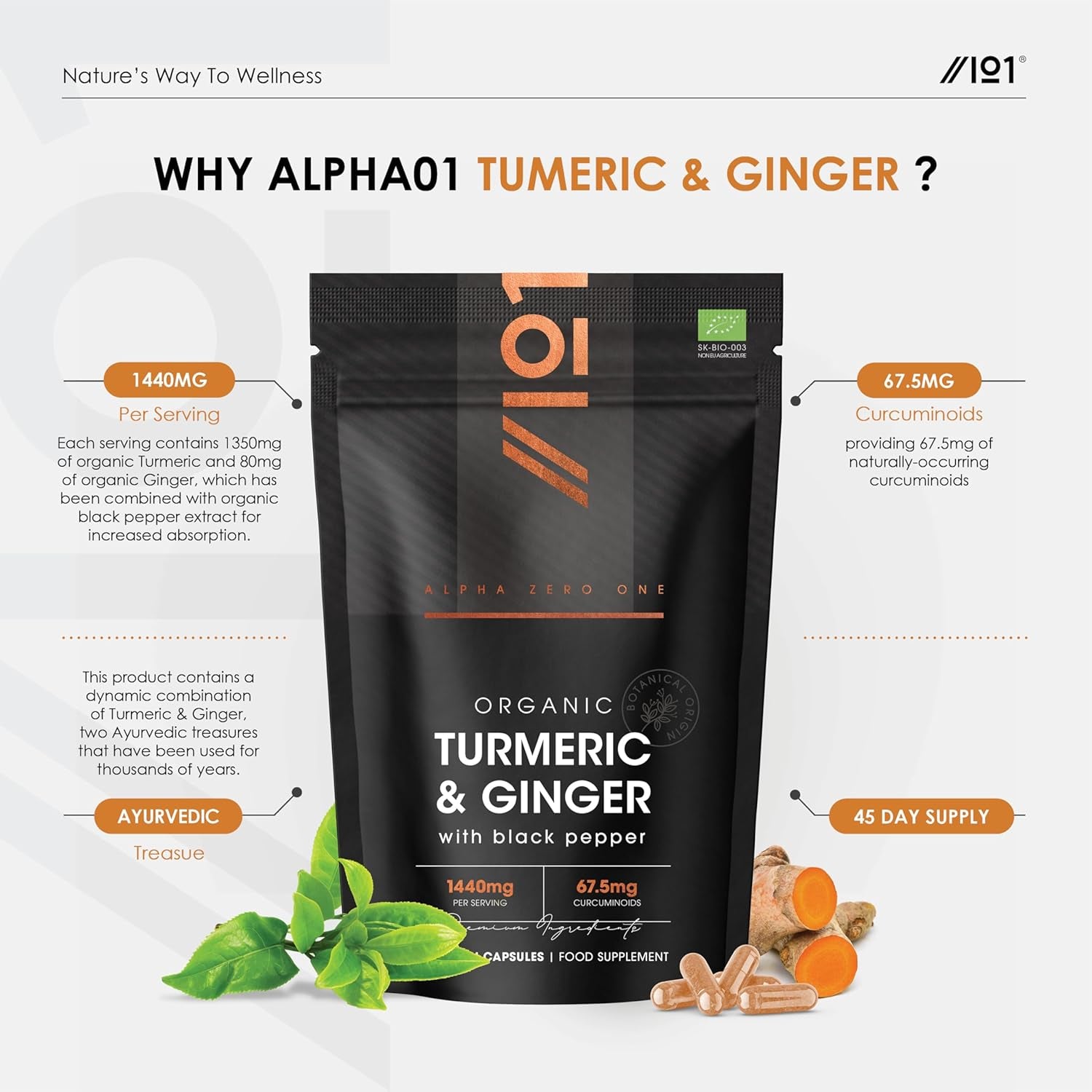Organic Turmeric 1440Mg with Ginger & Black Pepper - High Strength Curcuminoids - 90 Vegan Capsules - Resealable and Recyclable Pouch - by Alpha01