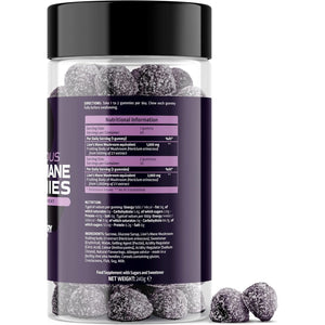 Lions Mane Gummies - 1000Mg Lions Mane Mushroom Gummies - Delicious Mixed Berry Flavour Mushroom Supplement (60 Vegan Gummies)