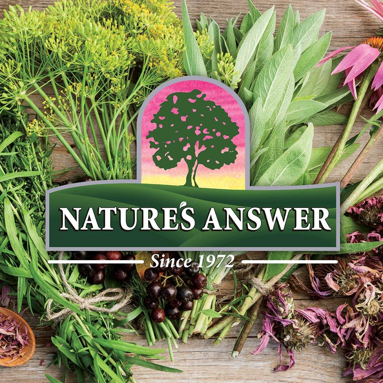 Natures Answer - Mullein Leaf - 30Ml