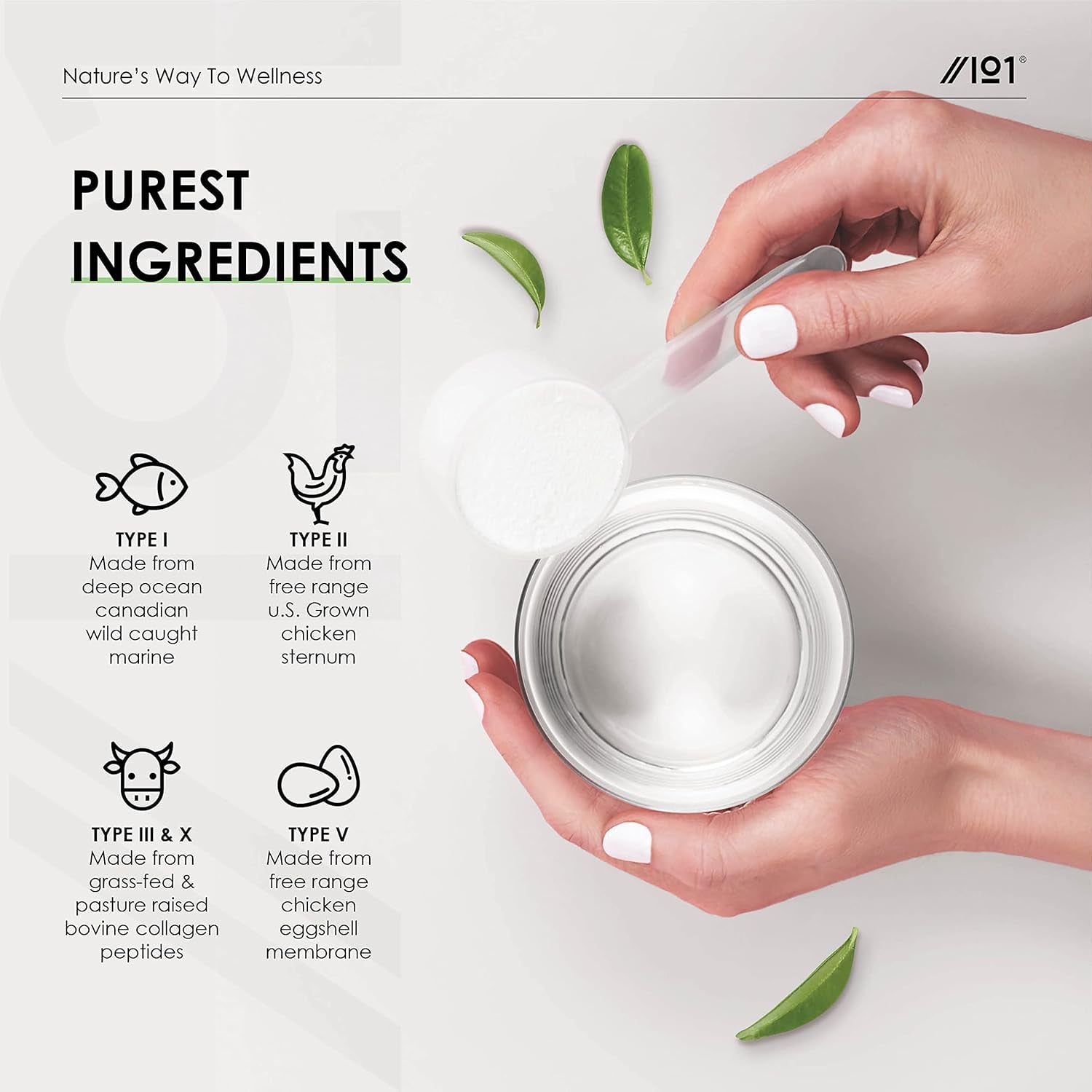 Multi Collagen Protein Powder (400G) - Types I, II, III, V & X - Hydrolyzed Grass Fed Bovine, Wild Caught Fish, & Free-Range Chicken & Eggshell Collagen (20 Day Supply) by Alpha01