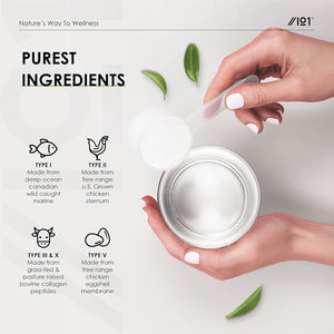Multi Collagen Protein Powder (400G) - Types I, II, III, V & X - Hydrolyzed Grass Fed Bovine, Wild Caught Fish, & Free-Range Chicken & Eggshell Collagen (20 Day Supply) by Alpha01